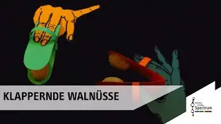 Klappernde Walnüsse