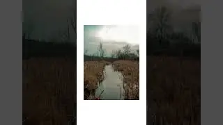 Canon Powershot SD1000 POV Photography and Examples