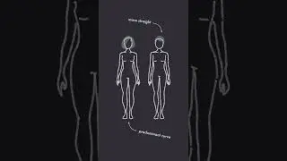 SOFT GAMINE vs FLAMBOYANT GAMINE | Kibbe Body Type Tiebreakers