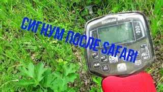 Сигнум после Сафари  Signum MFD after Minelab Safari