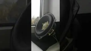 Bass Test Subwoofer