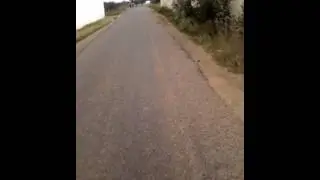 сбежавшие кони пойманы)