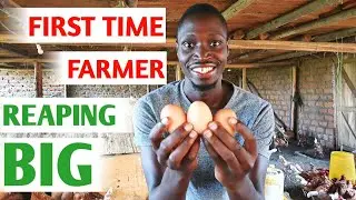 How I Started a Poultry Farm With Little Money and No Experience | My Success Story