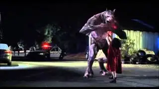 Woman Werewolf transformation and reversion