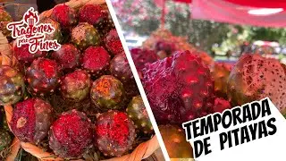 PITAYAS EN LAS 9 ESQUINAS EN GUADALAJARA