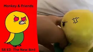 Monkey & Friends | S6 E3 | The New Bird