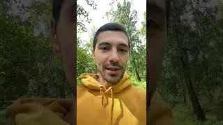 Электроды ESAB 28, из Индии  