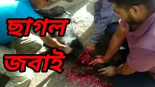 ২০২০ কোরবানি ঈদে ছাগল জবাই।