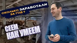 Сколько заработали в этом году?