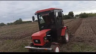 Наконец то посеял участок пшеницы!