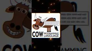 #viral toughest coding language in the world video for coding lovers #coding #codinghacks #subscribe