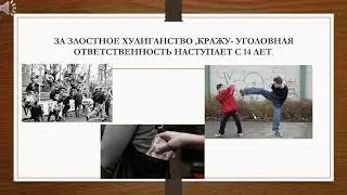 Профилактика правонарушений несовершеннолетними