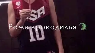 Рожа крокодилья