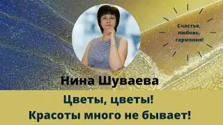 Цветы, цветы! Красоты много не бывает!!!