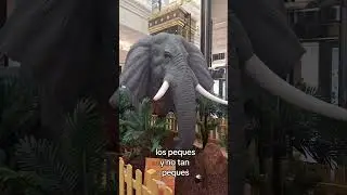 2 planazos en familia