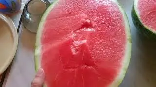 Арбуз без косточек 🍉