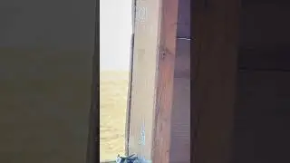 Nice Buck! 