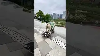 bulldog  play skateboard 😂😂