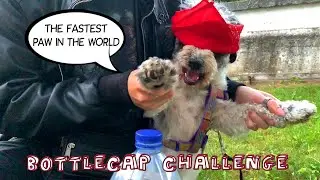 The Cutest Bottlecap Challenge You'll Ever See