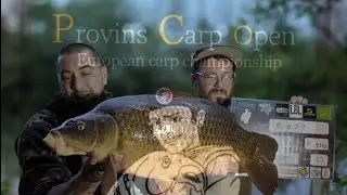 LA PÊCHE DE LA CARPE : ENDURO PROVINS CARP OPEN #carp #fishingvideo #pêche #carpfishing #catfish
