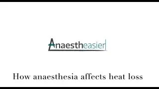 Why patients under anaesthesia lose heat so quickly