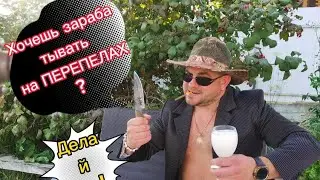 Хочешь зарабатывать на перепелах? Тогда смотри. Как быть в плюсе! НОВЫЕ РЕЦЕПТЫ КОРМОВ PRO версии.👍