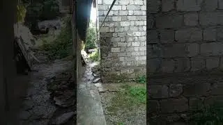 pula