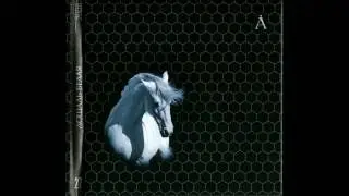 Аквариум - Аригато