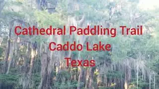 Caddo Lake, Cathedral Paddling Trail