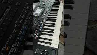 𝗞𝗼𝗿𝗴 𝗣𝗔 𝟱𝗫 - 𝟲𝟭  || Indonesian Version Style Demo 🎼🎹        #korgpa5x #korgindonesia #korgpa #korg