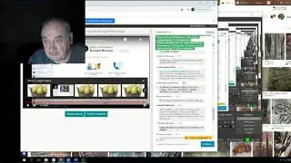Железов Валерий   Вебинар 113 ч 11   Ответы на вопросы в чате ч 2