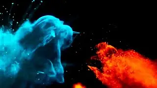 3d intro without text of lion and 🐘 /intro without  text free non copyright(2)