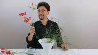 Shoso Valentine's Day 2024
