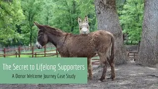 The Secret to Lifelong Supporters: A Donor Welcome Journey Case Study