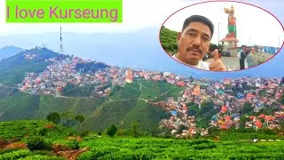 खरसाङमा गुडरिक चिया बारी घुम्दाको रमाईलो Enjoy a tour of the Goodrich Tea Estate in Kharsang