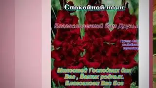 /Дякую Тобі /