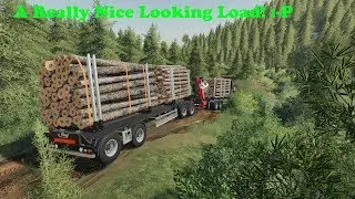 FS19 | Forestry On Holmåkra | Overload Maybe!😬 | Timelapse | S01 EP5