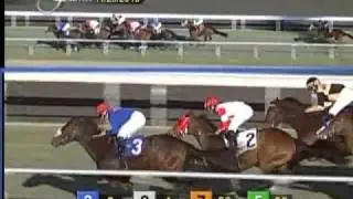 The 19th Running of the Miesque (GIII)