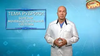 МОЧЕВЫДЕЛИТЕЛЬНАЯ СИСТЕМА — болезни и проблемы | Формула здоровья