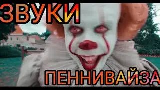 ЗВУКИ ПЕННИВАЙЗА