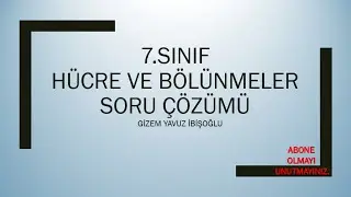 7.SINIF HÜCRE VE BÖLÜNMELER SORU ÇÖZÜMÜ