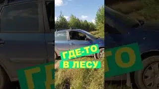 В ЛЕСУ НА СУБАРУ ФИЕСТА #Shorts
