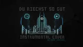 Rammstein - Du Riechst So Gut (instrumental cover) [Stadium Tour Version]