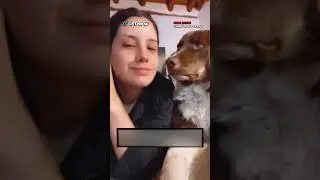 Реакция Собаки На Поцелуй Хозяйки 😂😂😄 