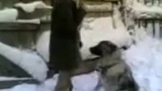Варя и Алиса