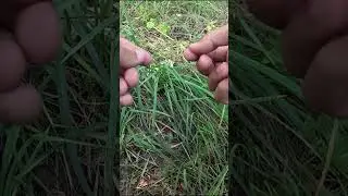 Как СОЕДИНИТЬ ПЛЕТЁНКУ с ЛЕСКОЙ или ФЛЮРОМ. Рыбалка