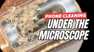 Satisfying Phone Cleaning Under The Microscope. Filthy Phones Gets Cleaned.