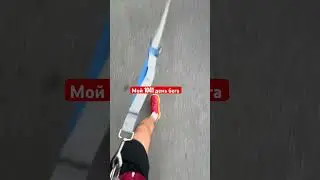 Ты уже бегаешь по утрам? #влог #бег #зож