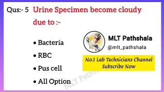 Lab Technician MCQs:- 16🎯Lab Technician Course Vaccancy 2022🩺 BMLT DMLT Course💉MLT Pathshala Status