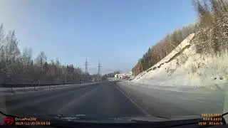 Дятел под Уватом